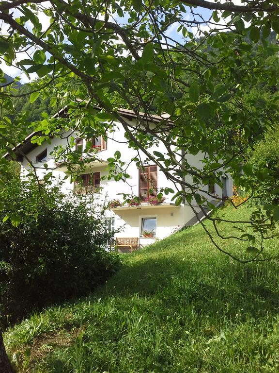 Zadraga Tolmin